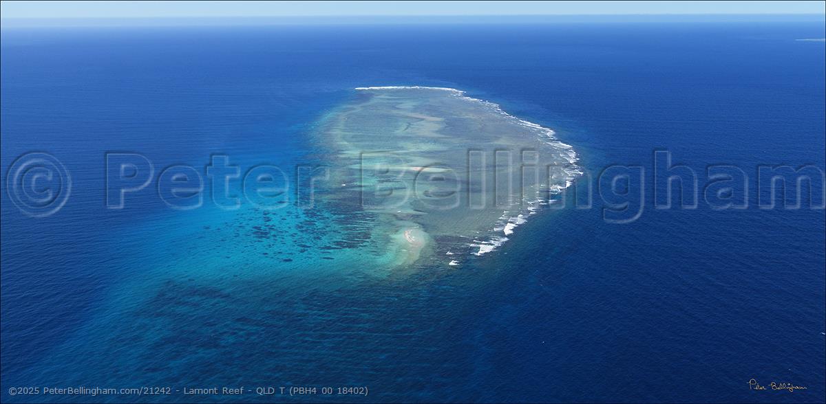 Peter Bellingham Photography Lamont Reef - QLD T (PBH4 00 18402)
